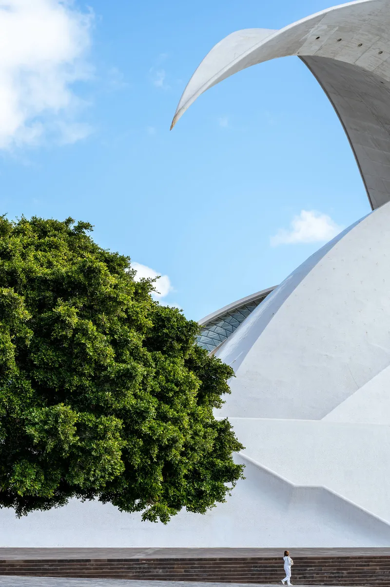 The arch and dome of the Auditorio de Tenerife with a large tree and a passing figure providing scale, Santa Cruz de Tenerife