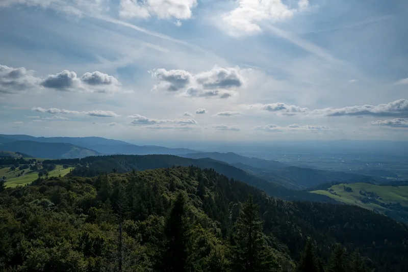 Layered forested ridges descending from Schauinsland toward the Rhine valley and Freiburg on a clear summer day, Black Forest, Leica Q2