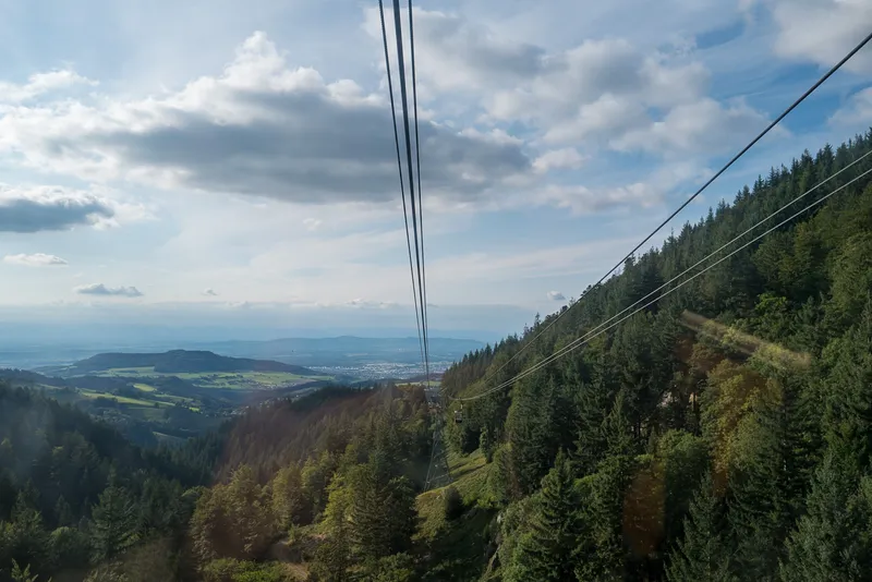 Looking down the Schauinslandbahn cable car cables through beech forest toward Freiburg and the Rhine plain, Black Forest, Leica Q2
