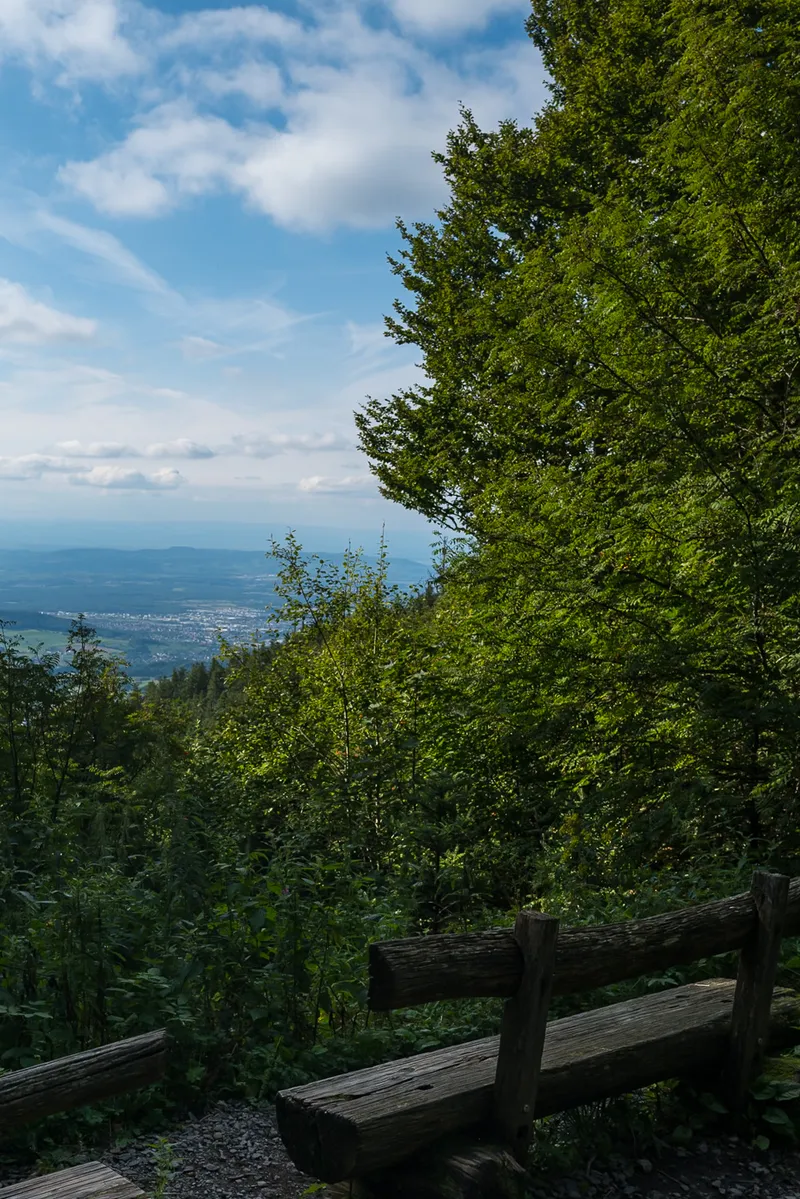 Wooden bench beside a beech tree on the Schauinsland summit, Freiburg valley and Rhine plain visible in the distance, Leica Q2