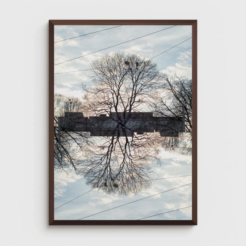 Without Roots, abstract and multiple exposure fine art photography print from Augsburg, Germany in white, grey, and brown tones.