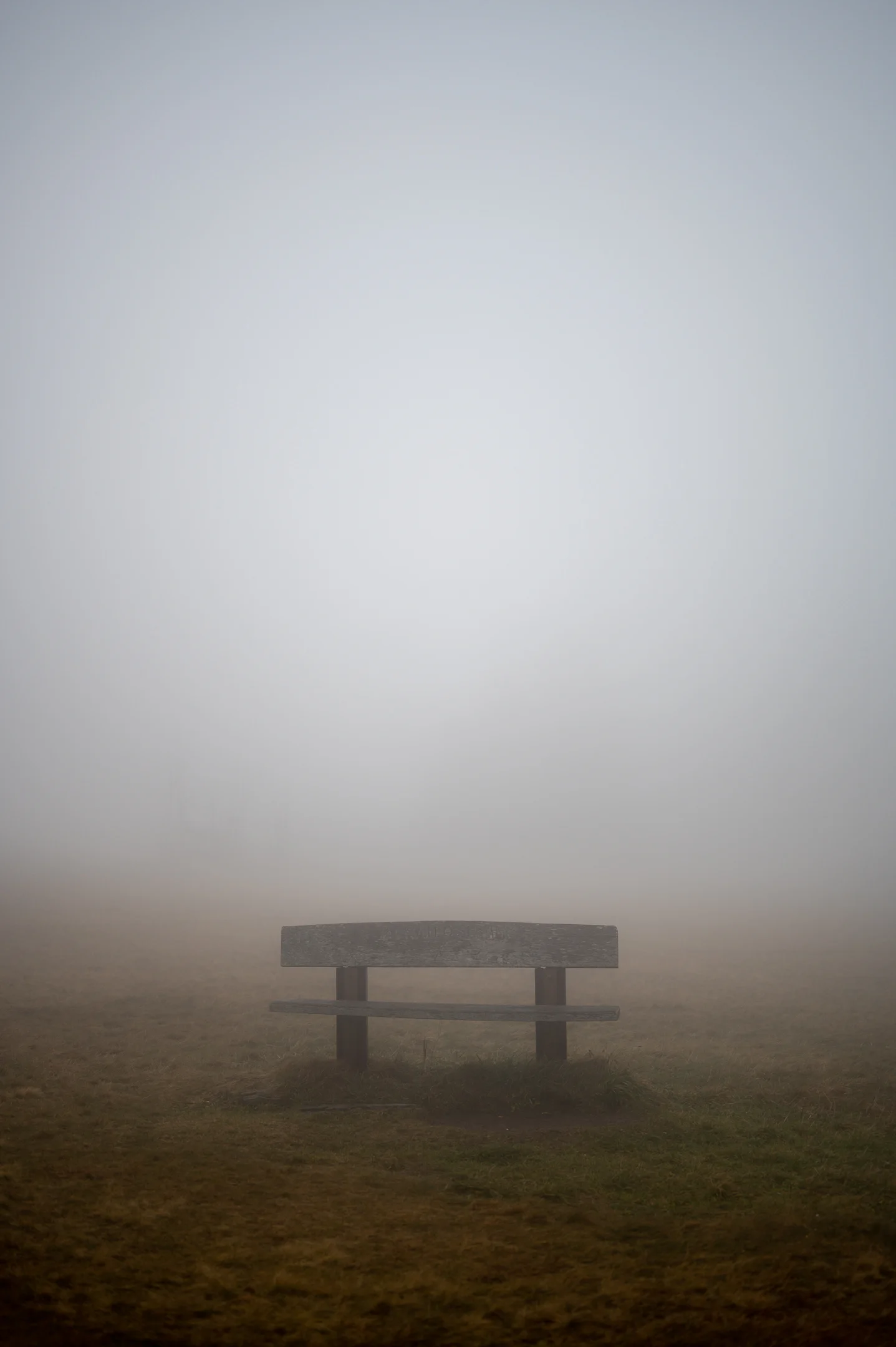 Rest — quiet minimalist fine art print of fog in the Black Forest by Markus H. Green