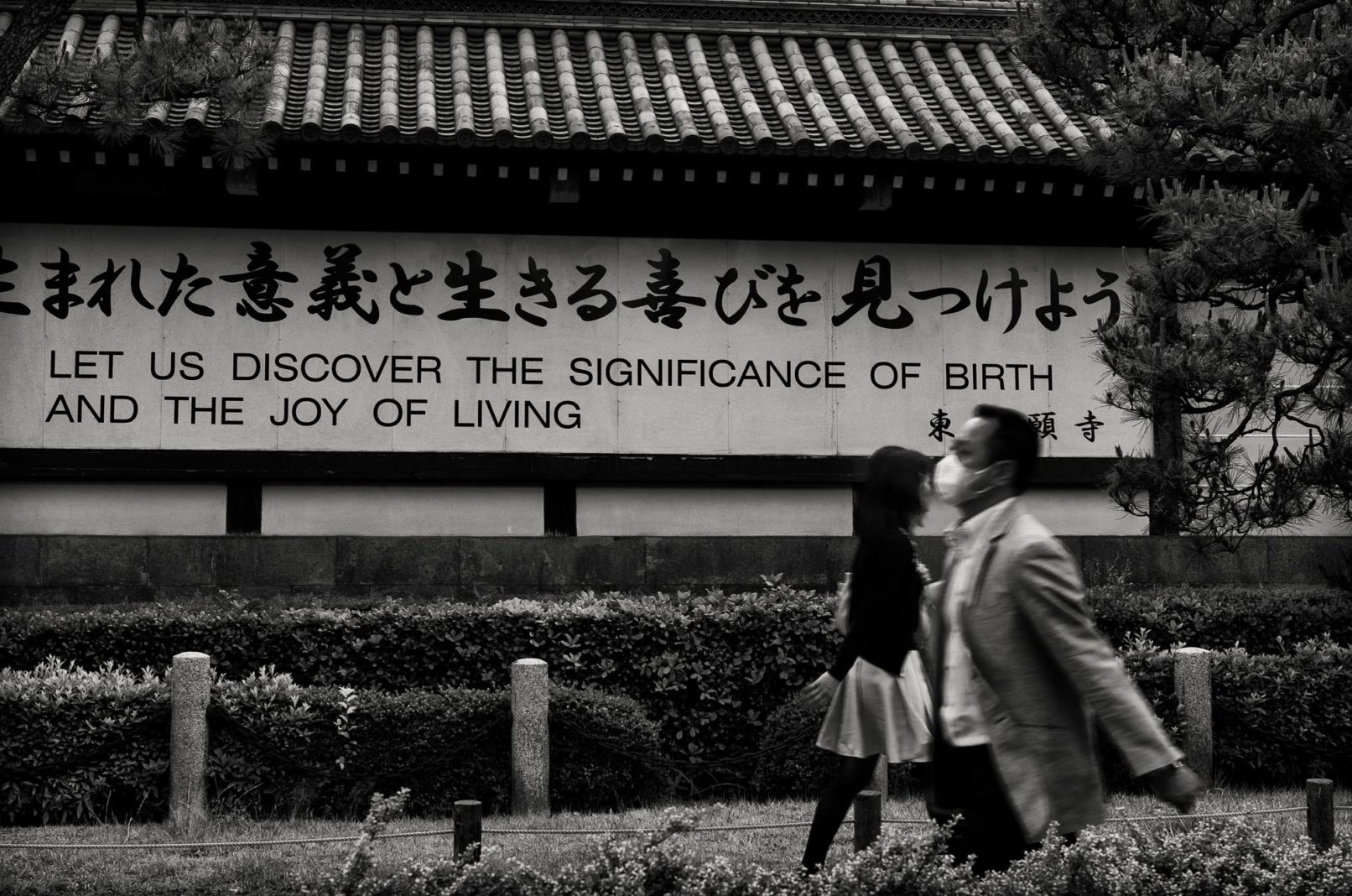 Markus Green - Joy Of Living art in Japan